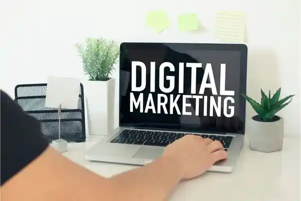 GMB SEO Strategy